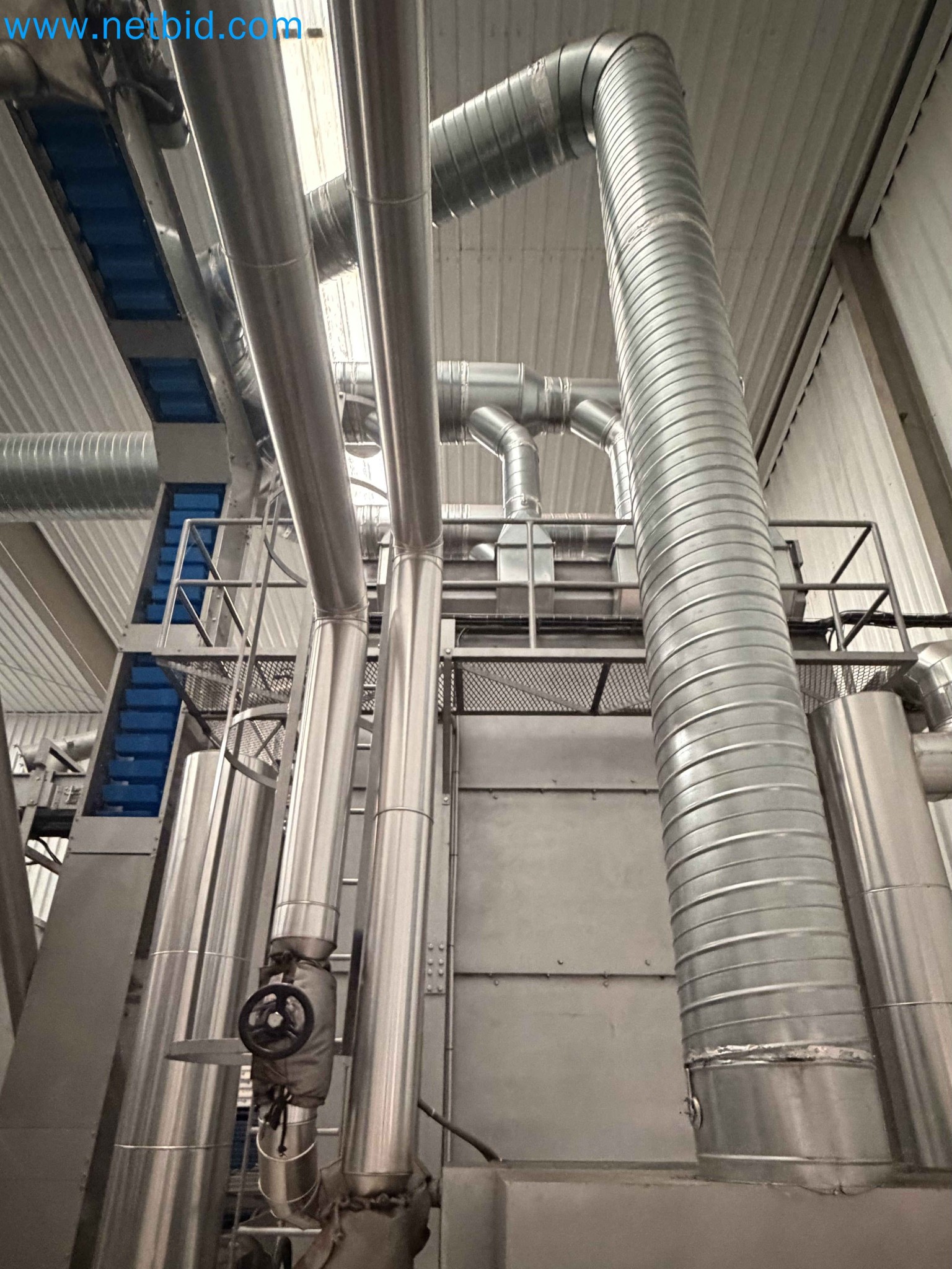 Nussverarbeitungsanlage zum Schälen, Trocknen und Verpacken-21