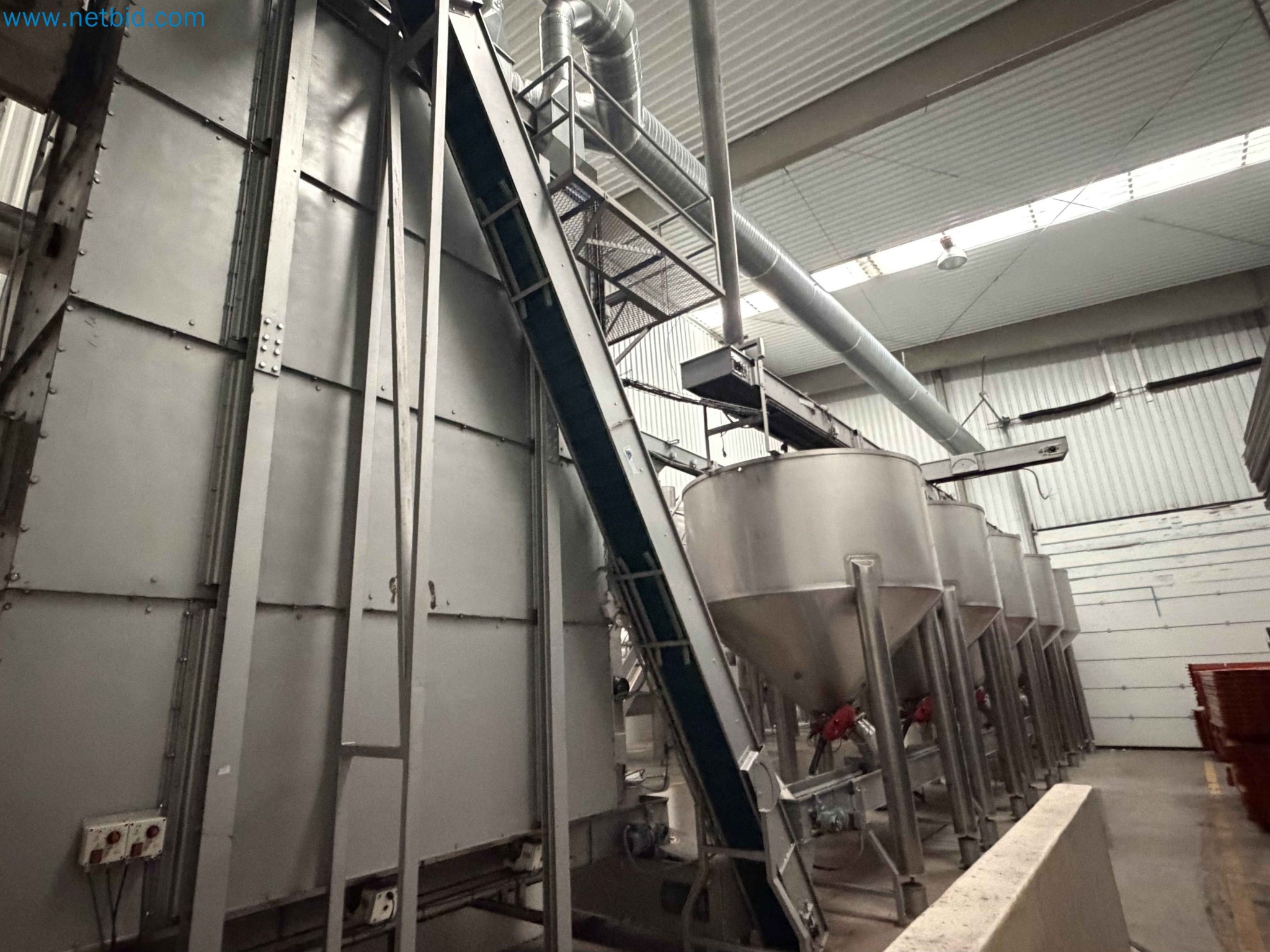 Nussverarbeitungsanlage zum Schälen, Trocknen und Verpacken-2