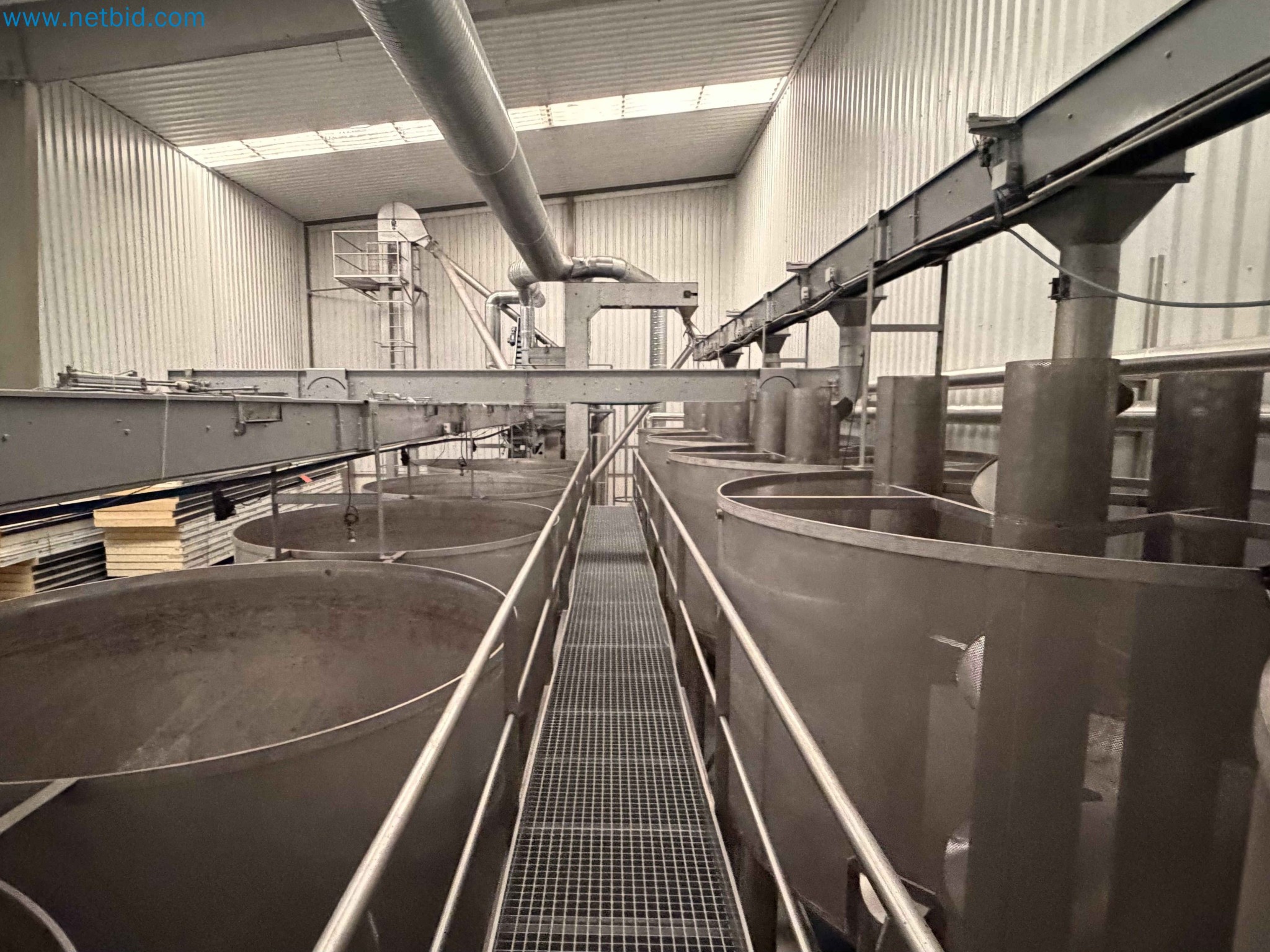 Nussverarbeitungsanlage zum Schälen, Trocknen und Verpacken-41