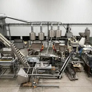 Complete industrial plant for nut processing, shelling and packaging