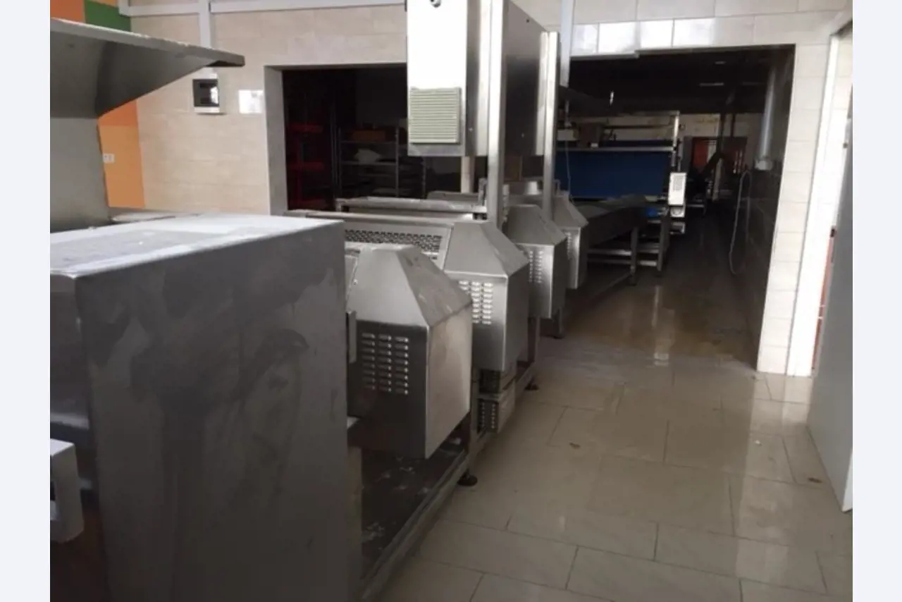 automatic line for the production of rolls-5