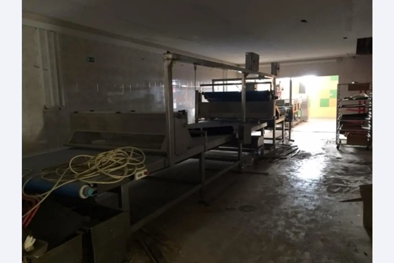 automatic line for the production of rolls-9