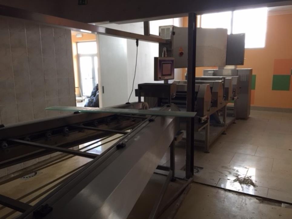 automatic line for the production of rolls-15