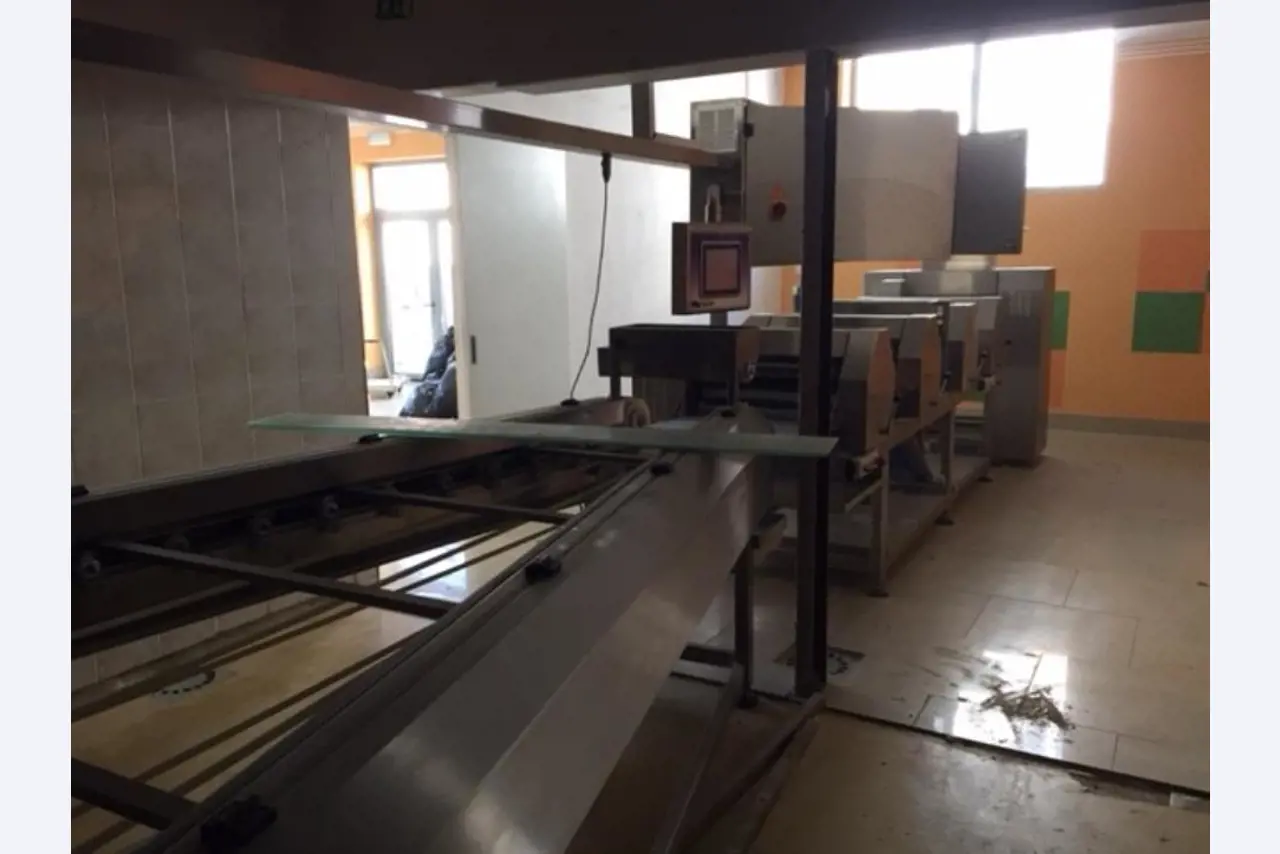 automatic line for the production of rolls-15