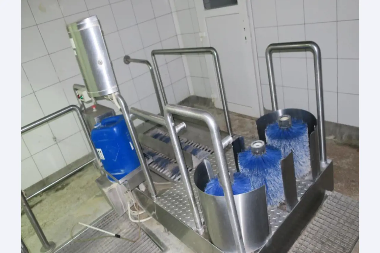 Meat processing machines-1