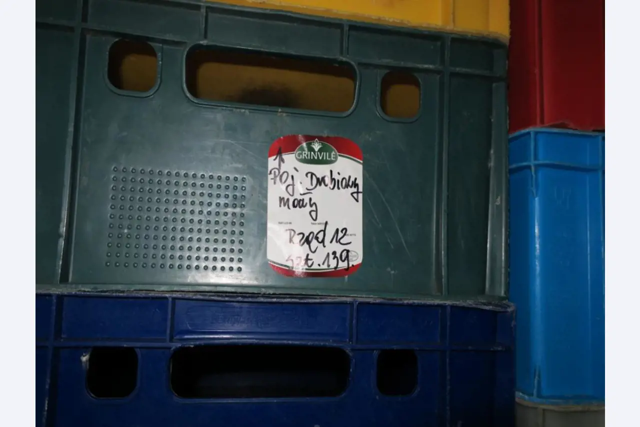 Máquinas de processamento de carne-3