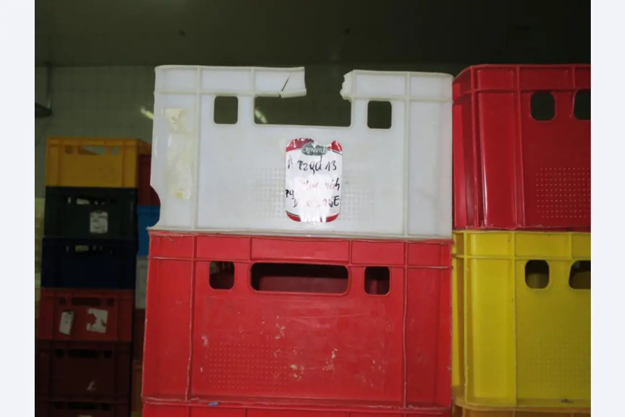 Máquinas de processamento de carne-5