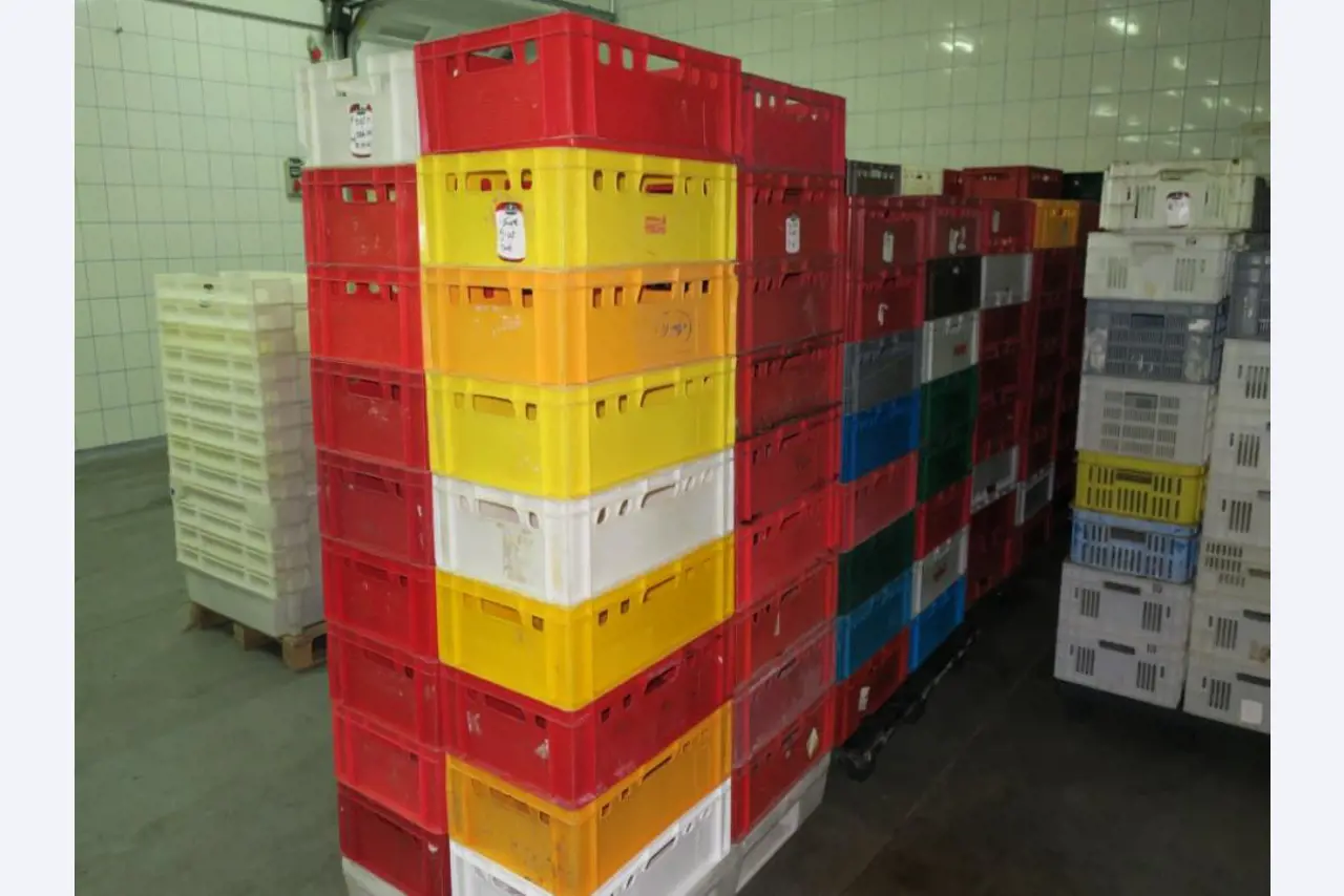 Máquinas de processamento de carne-4