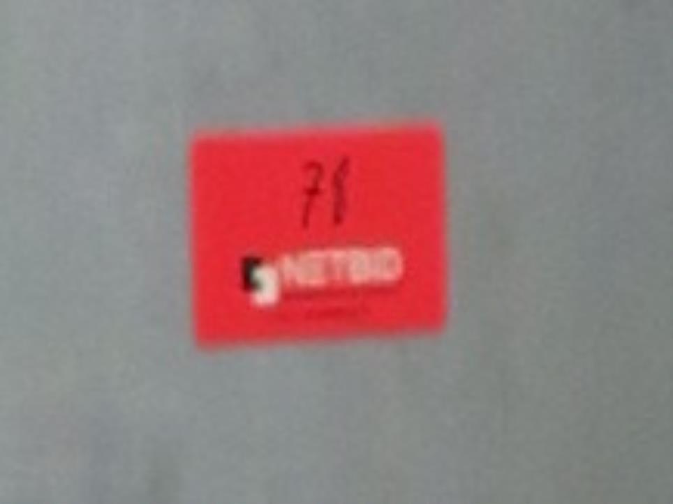 Meat processing machines-4