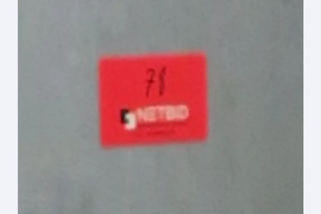 Máquinas de processamento de carne-4