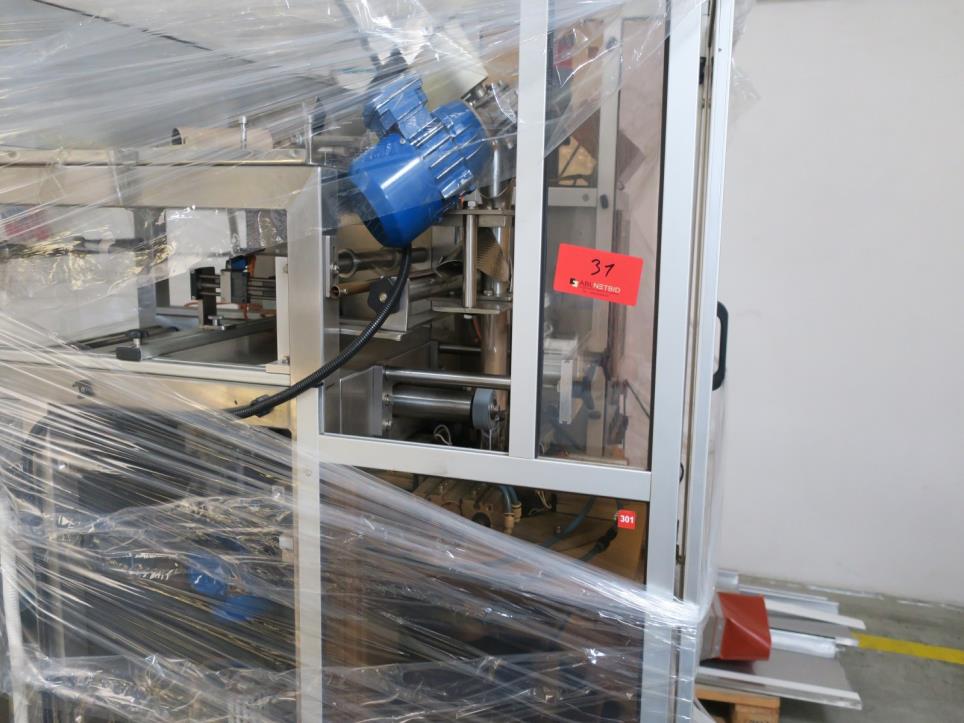 Envasadoras de alimentos-3