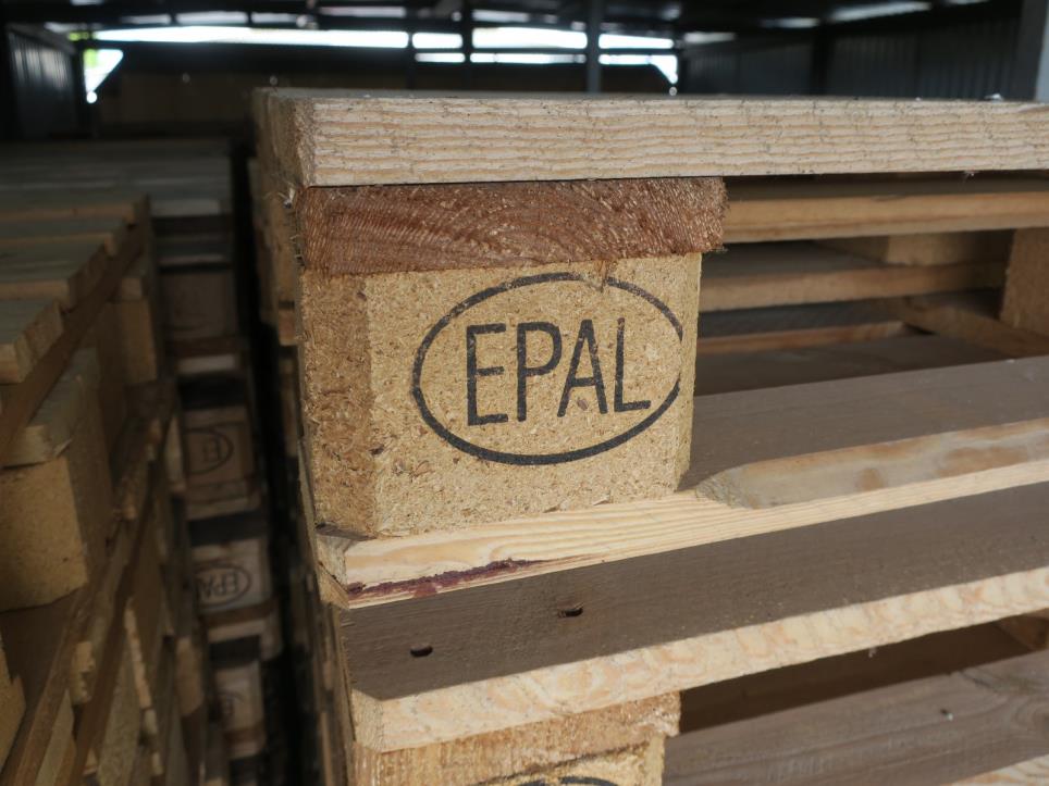 Food processing machinery-3